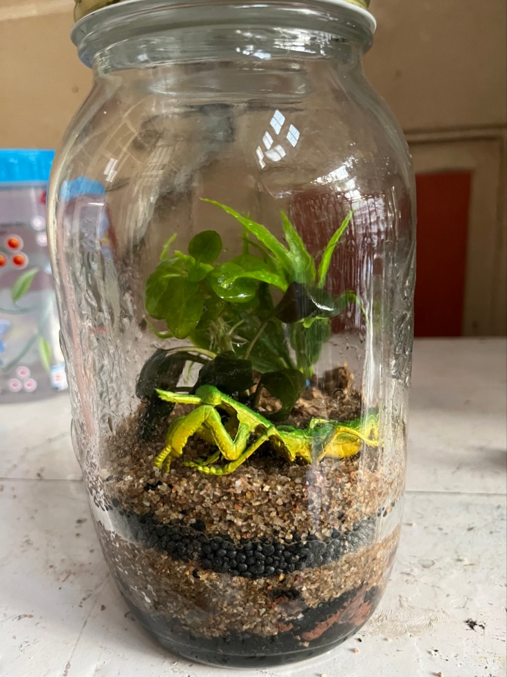 How to make a Terrarium in 10 Minutes ?